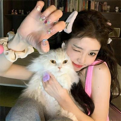 芝加哥警署第一季